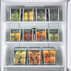 Kitchen Food and Vegetable Fresh-keeping Box Freezer Storage